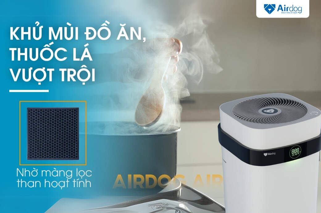 Neutralization VOCs và smoke particles