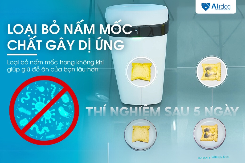 Loại bỏ allergens và fungal spores