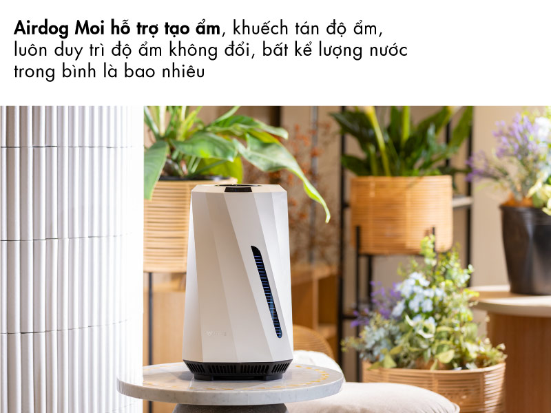 Máy tạo ẩm Airdog MOI H5