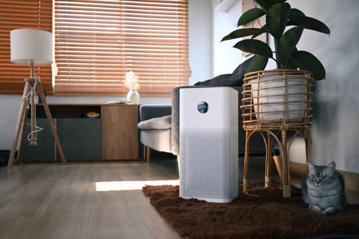 Airdog Việt Nam là đơn vị chuyên phân phối các dòng thiết bị lọc không khí cao cấp, chính hãng