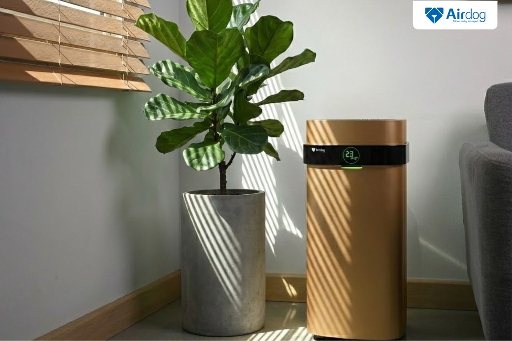chọn đặt máy lọc không khí ở nơi dễ ôi nhiễm