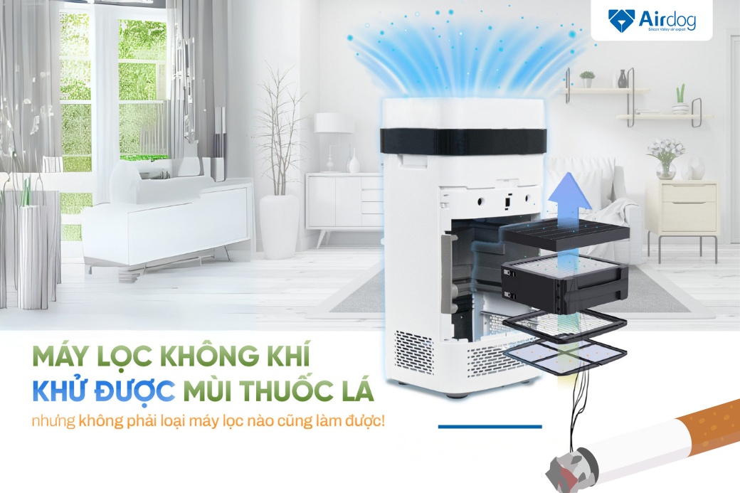 Máy lọc không khí có khử mùi thuốc lá được không