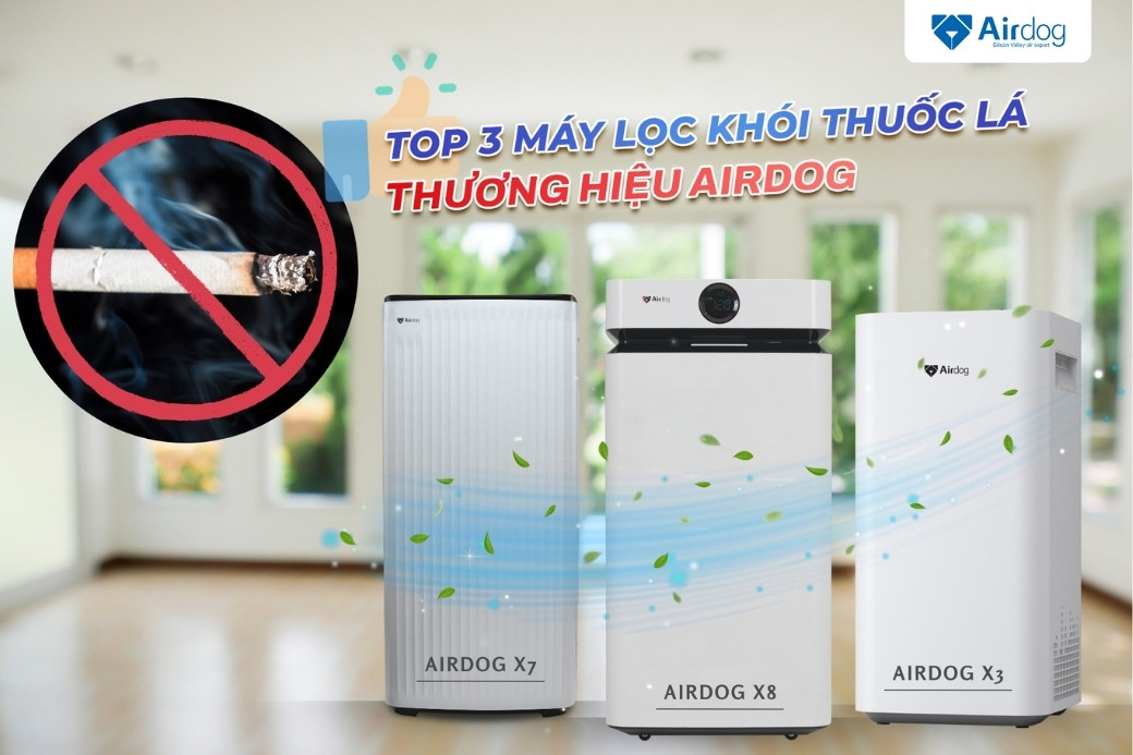 Top 3 máy lọc khói thuốc lá hiệu quả thương hiệu Airdog