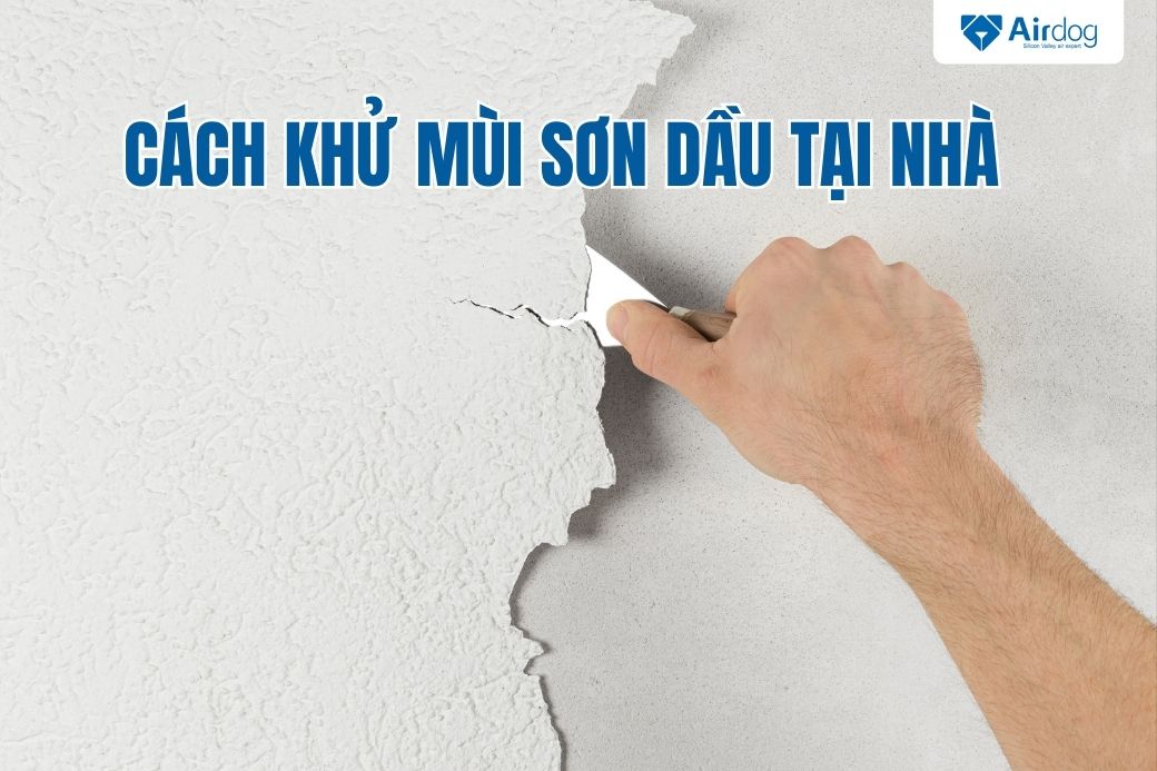 cách khử mùi sơn dầu tại nhà