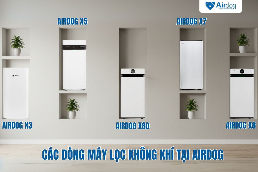 Các dòng máy lọc không khí tại Airdog