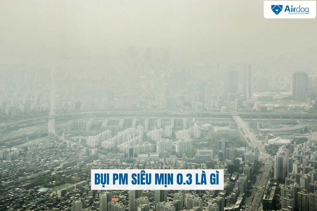 bui-pm-sieu-min-0-3-la-gi