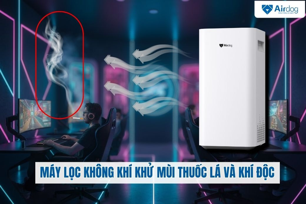 may-loc-khong-khi-khu-mui-thuoc-la-va-khi-doc