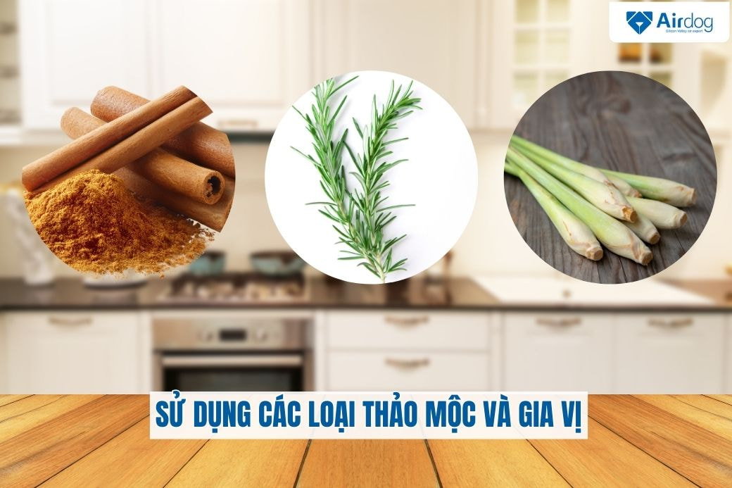 su-dung-cac-loai-thao-moc-va-gia-vi