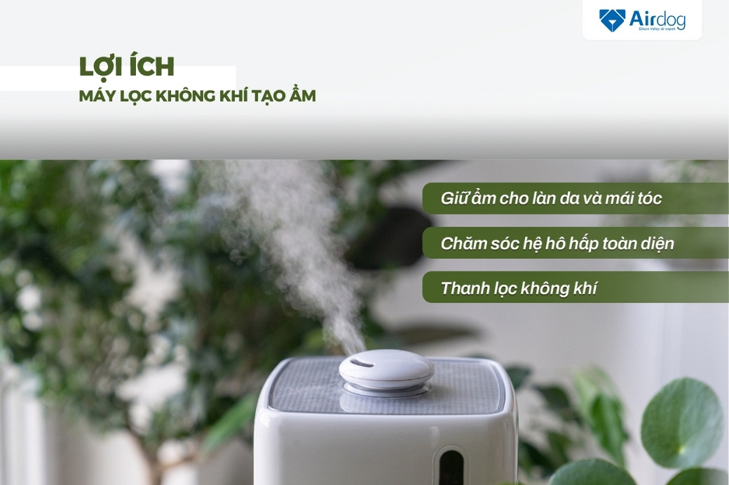 Những lợi ích của việc sở hữu máy lọc không khí tạo ẩm