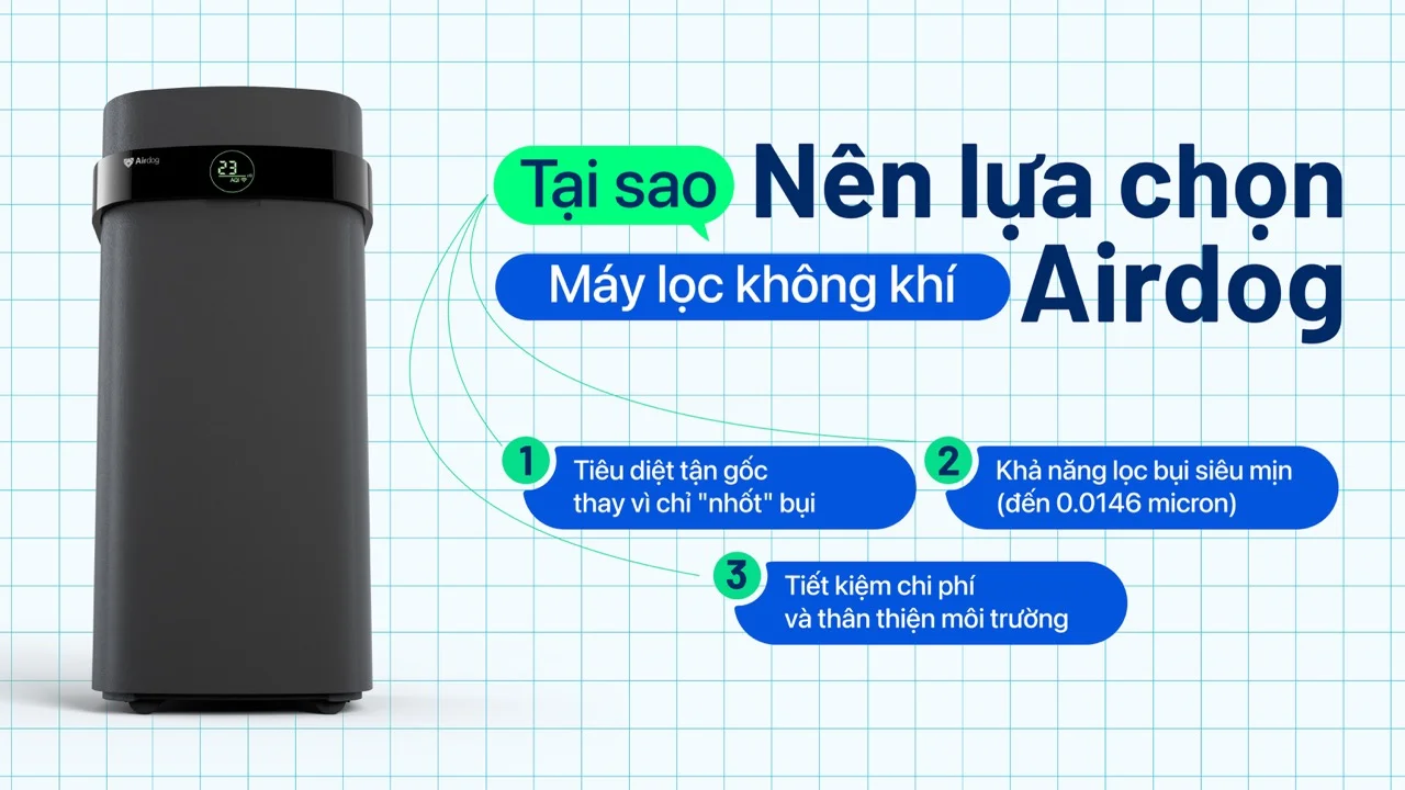 Tại sao Airdog là lựa chọn đáng đồng tiền bát gạo cho người viêm xoang