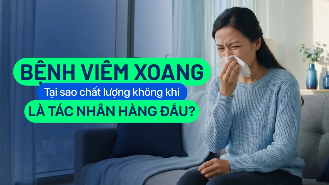 Tại sao chất lượng không khí gây viêm xoang