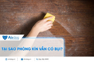Tại sao phòng kín vẫn có bụi