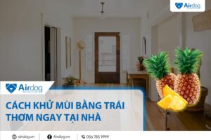 cách khử mùi bằng trái thơm trong nhà