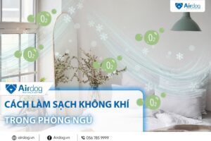 cách làm sạch không khí trong phòng ngủ
