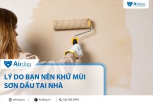 lý do bạn nên khử mùi sơn dầu tại nhà