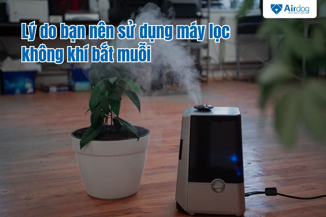 lý do bạn nên sử dụng máy lọc không khí bắt muỗi