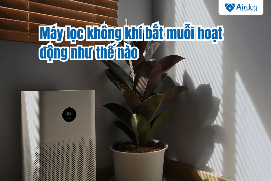 máy lọc không khí bắt muỗi hoạt động như thế nào