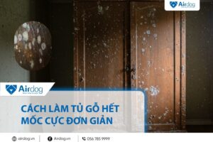 cách làm tủ gỗ hết mốc cực ĐƠN GIẢN tại nhà