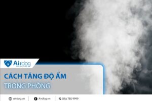 cách tăng độ ẩm trong phòng