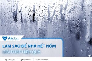 làm sao để nhà hết nồm giải pháp hiệu quả