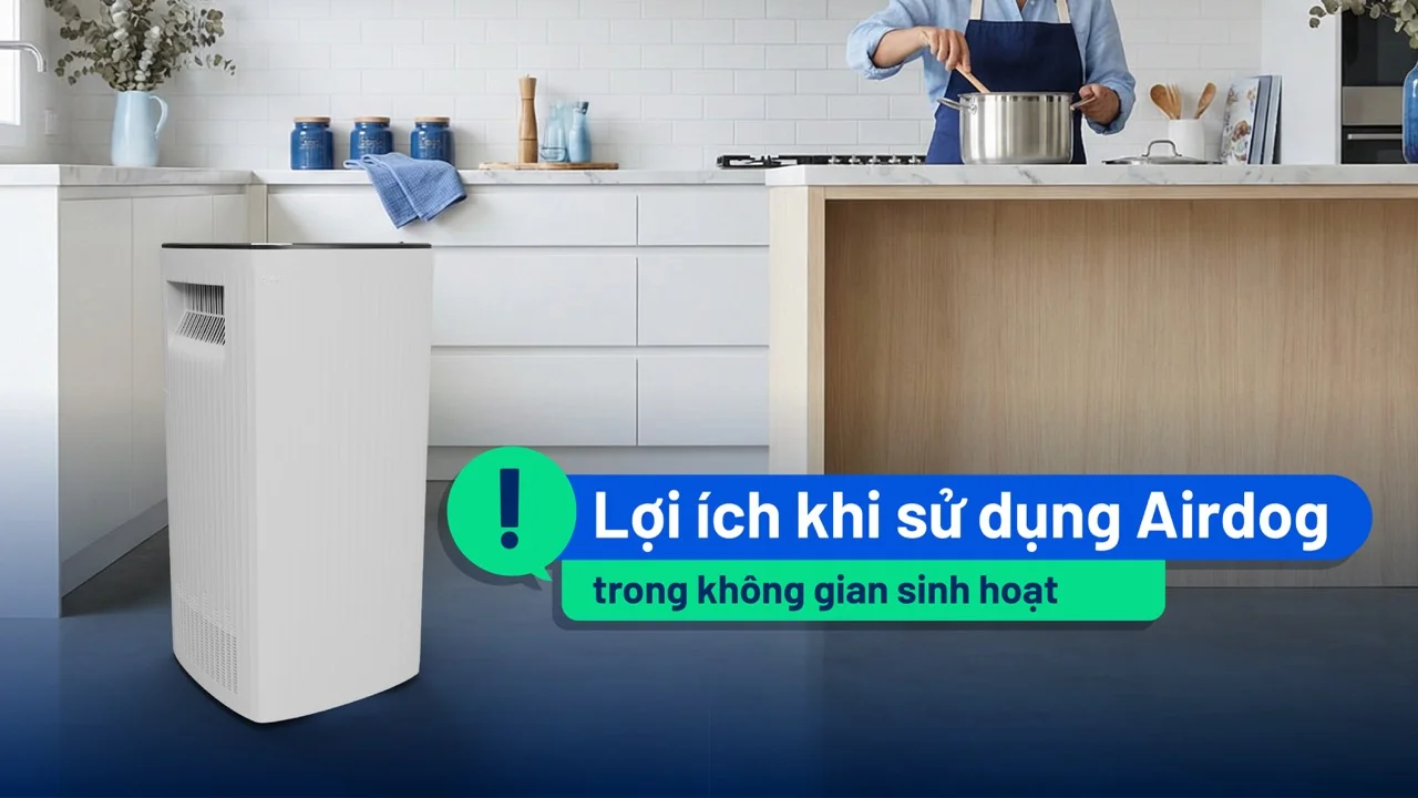 Lợi ích khi sử dụng Airdog trong không gian sinh hoạt