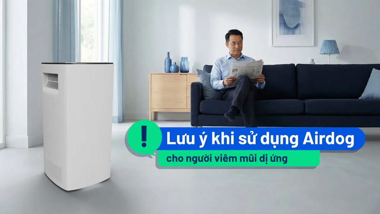 Lợi ích khi sử dụng Airdog trong không gian sinh hoạt