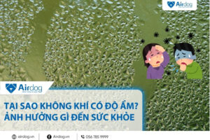 Tại sao không khí có độ ẩm? Ảnh hưởng gì đến sức khỏe