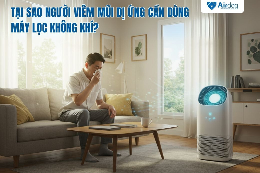 Tại sao người viêm mũi dị ứng cần dùng máy lọc không khí?