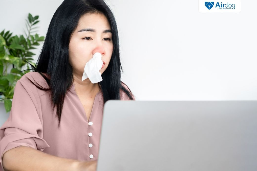 Viêm mũi dị ứng và tác nhân gây bệnh thường gặp