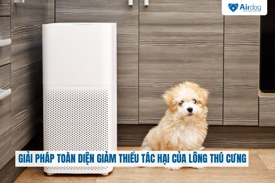 giai-phap-toan-dien-giam-thieu-tac-hai-cua-long-thu-cung