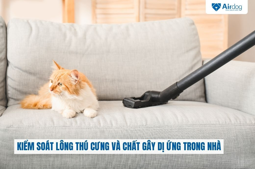 kiem-soat-long-thu-cung-va-chat-gay-di-ung-trong-nha