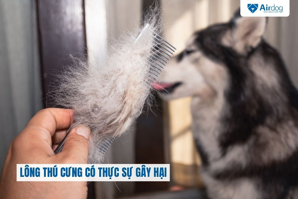 long-thu-cung-co-thuc-su-gay-hai