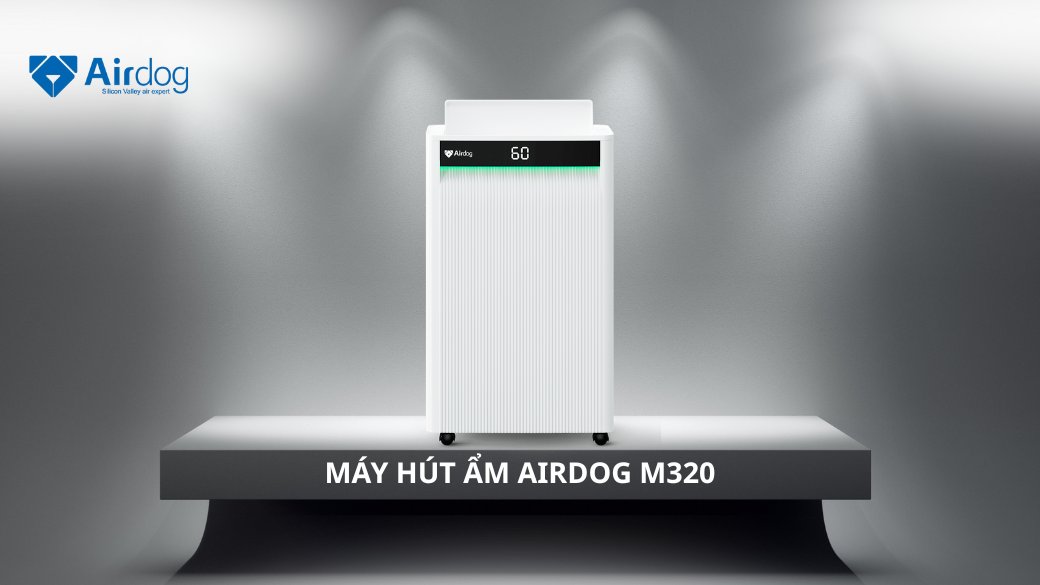 Máy hút ẩm Airdog HC220 trong phòng khách rộng