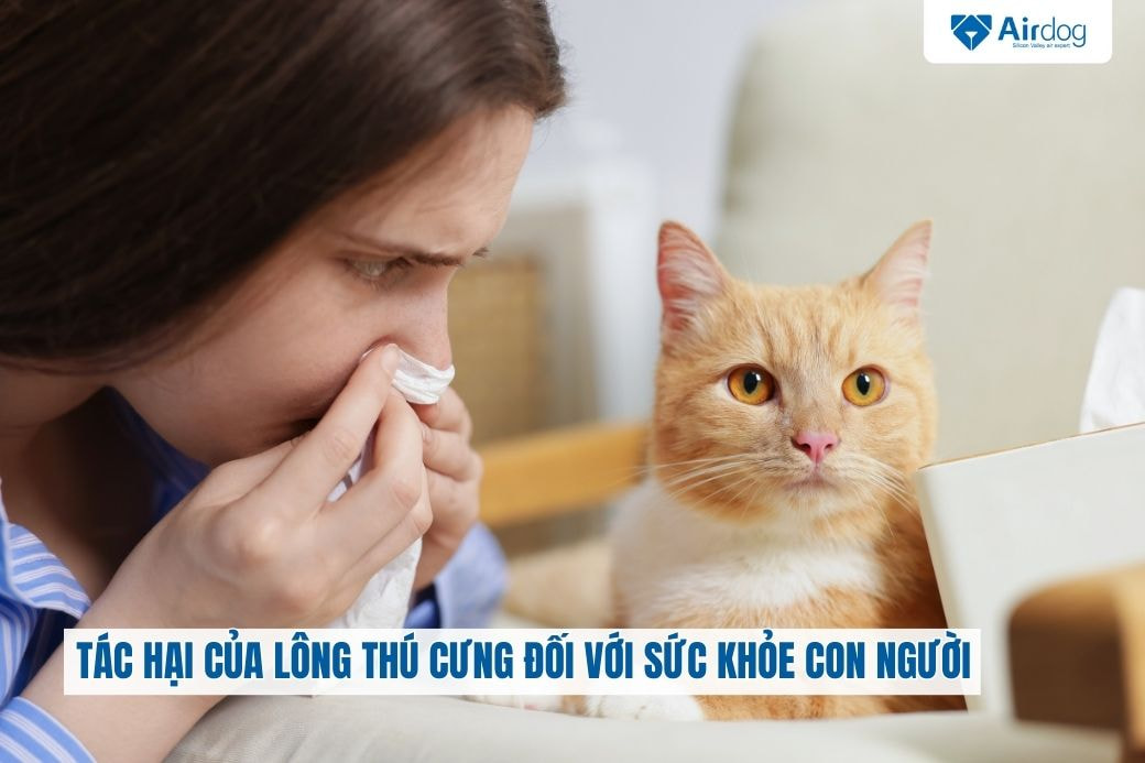 tac-hai-cua-long-thu-cung-doi-voi-suc-khoe-con-nguoi