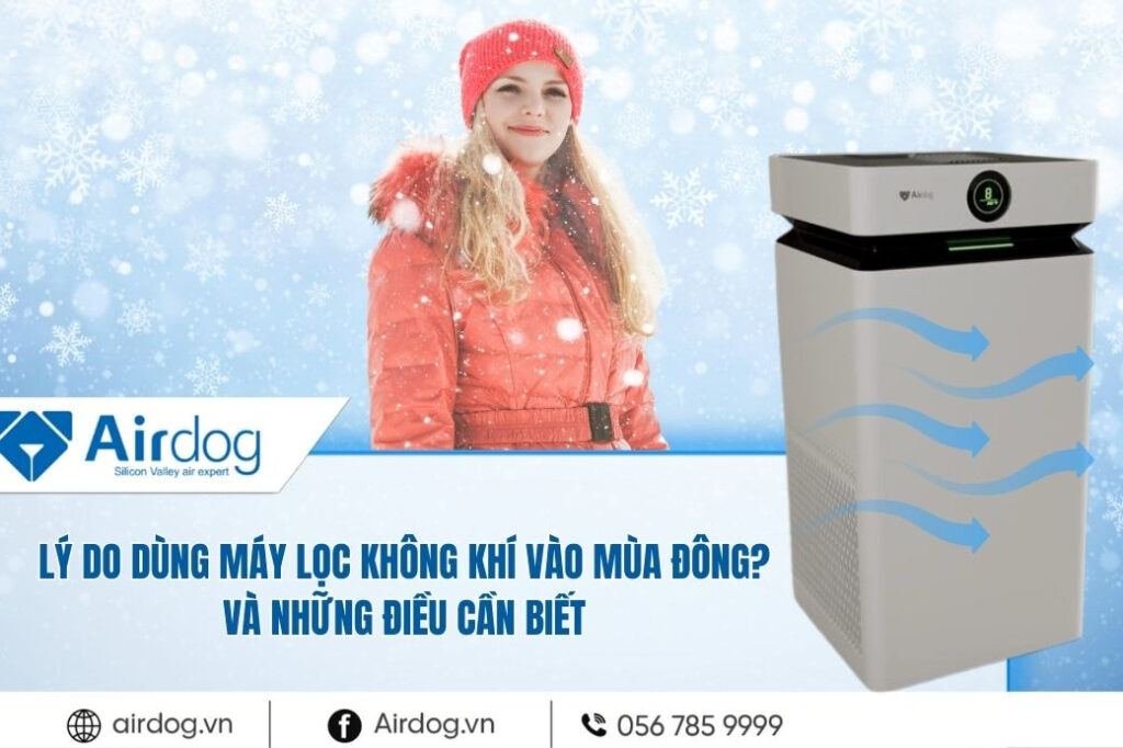 ly-do-dung-may-loc-khong-khi-vao-mua-dong- va-nhung-dieu-can-biet