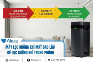 may-loc-khong-khi-mat-bao-lau- de-loc-khong-khi-trong-phong